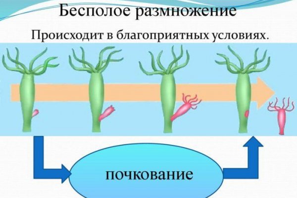 Зайти в кракен