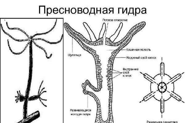 2krn сс что это